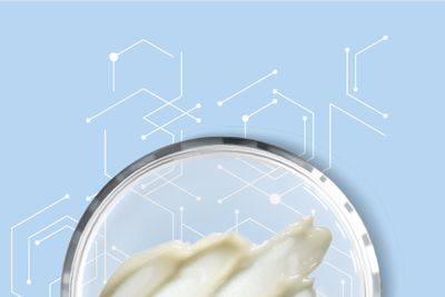 Shea Butter Shea Butter