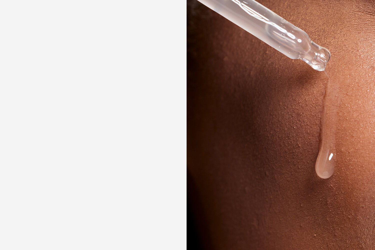 PLP-Banner