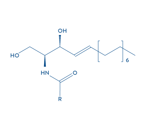 Estrutura molecular da ceramida, um lip&iacute;dio essencial.