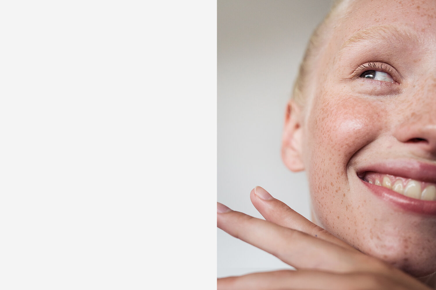 PLP-Banner