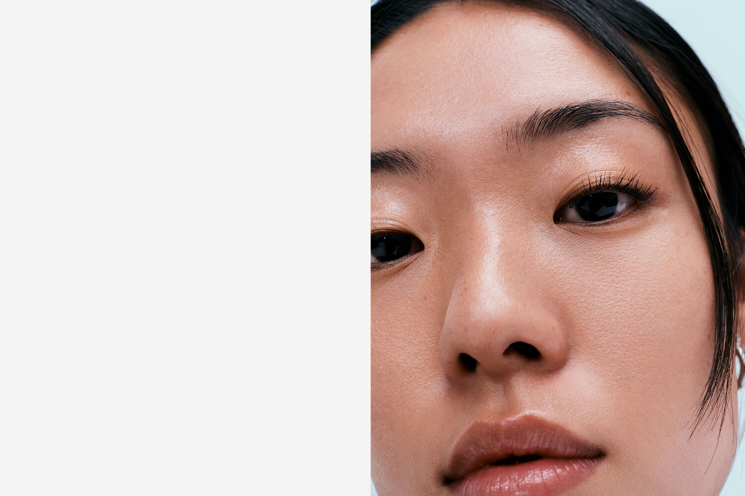PLP-Banner
