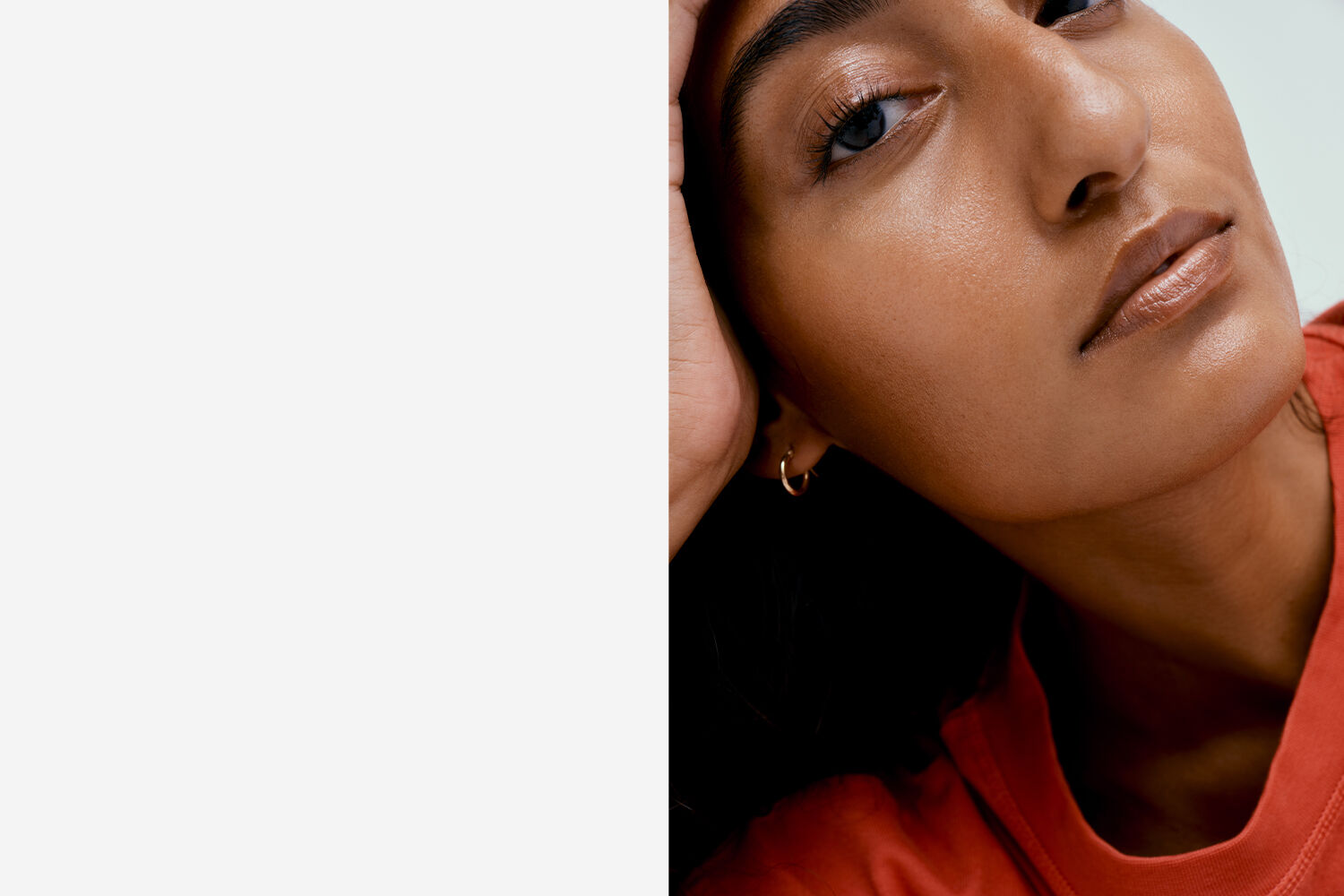 PLP-Banner